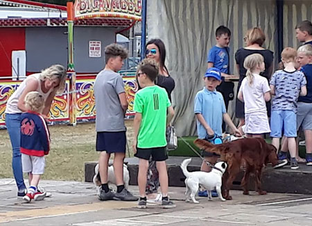 Pet Show